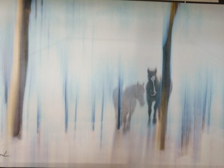 photo de chevaux flous dont la technique fait penser à une aquarelle dans les tons bleus et orange