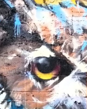 oeil de hibou graffé sur le mur extérieur d'un batiment